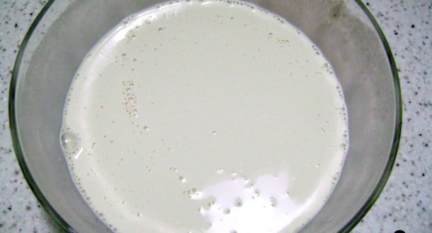 base del gelato alla soia senza lattosio 3