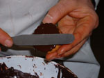 lavorazione biscotti frolla ovis mollis