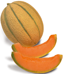 melone.gif
