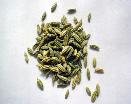 semi di finocchio