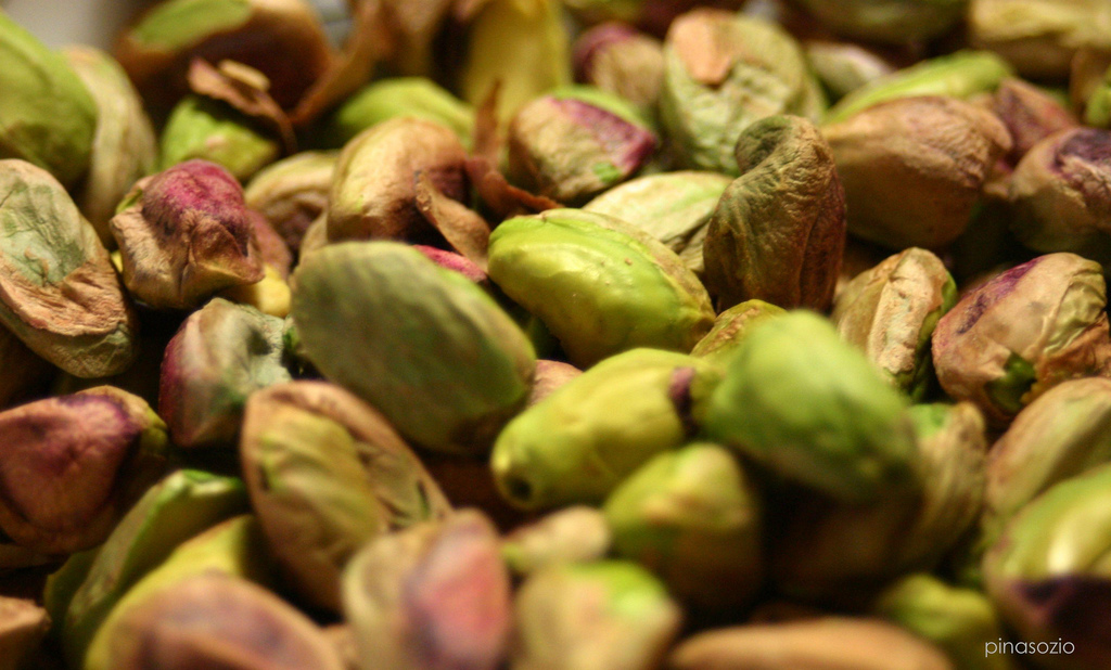 pistacchio-payhere-flickr.jpg