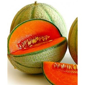 semi-di-melone-retato-degli-ortolani.jpg