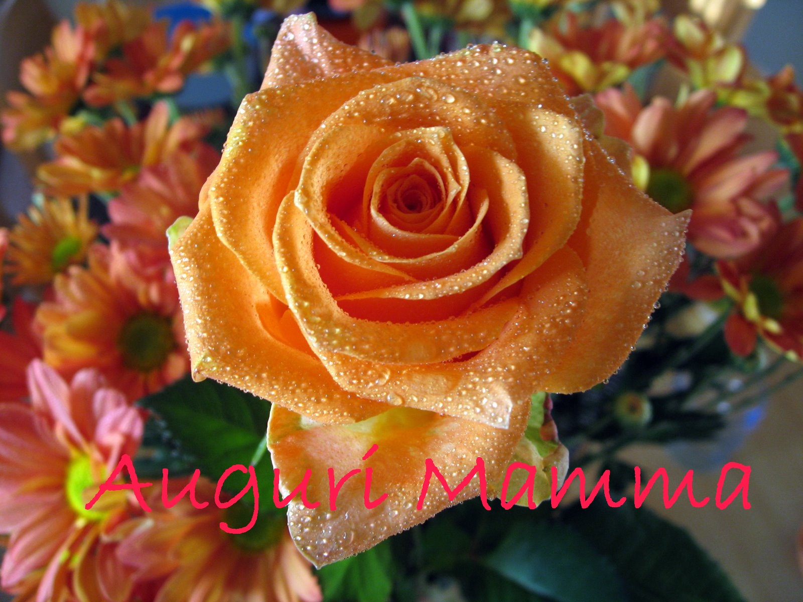 mamma.jpg