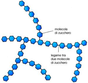 carboidrati e indice glicemico