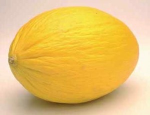 melone-purceddu.jpg
