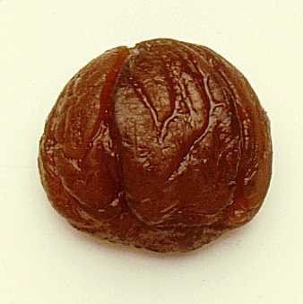 marronglace.jpg