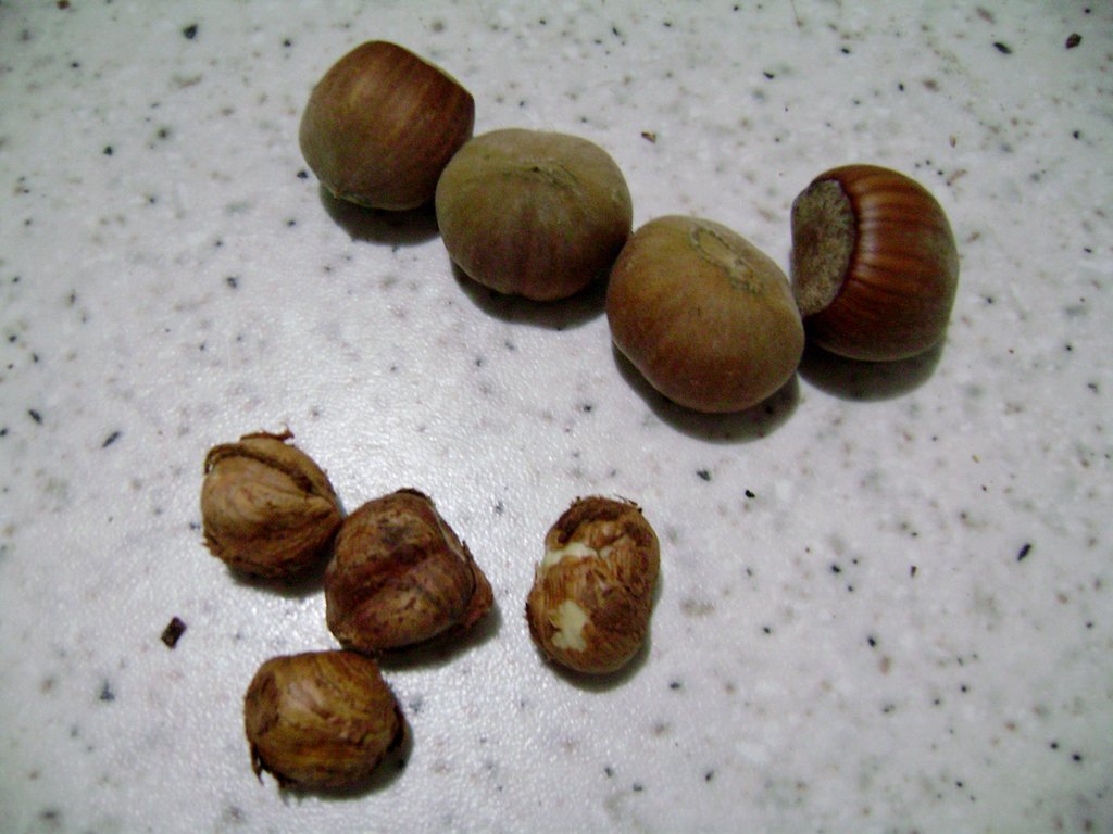 dolcetti_nocciole_e_cioccolato_preparazione_2.jpg