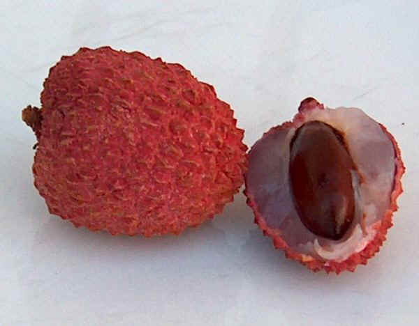 litchi.jpg