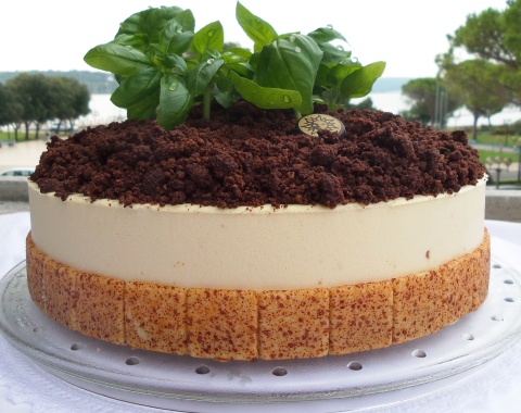 tiramisu_istria.jpeg