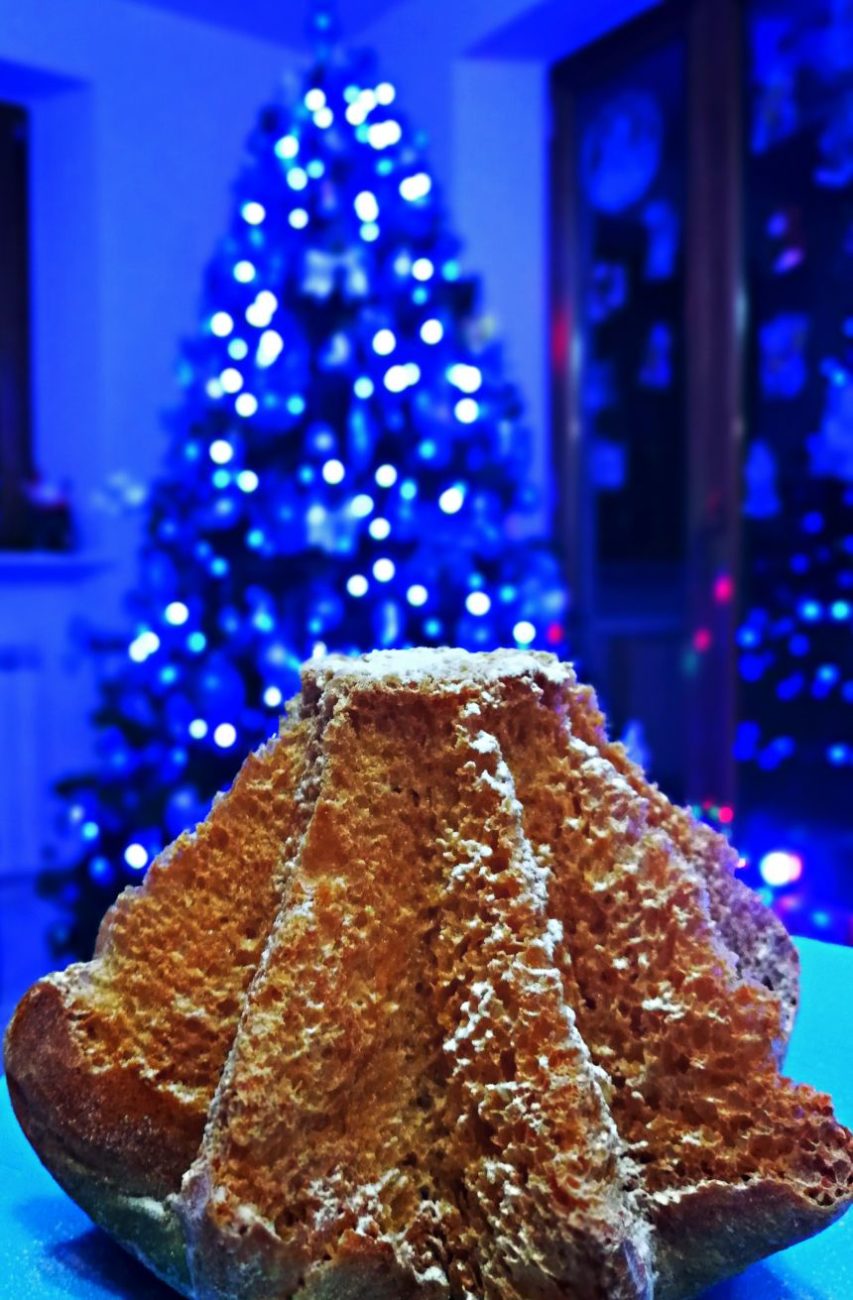Pandoro sfogliato senza lattosio con lievito madre